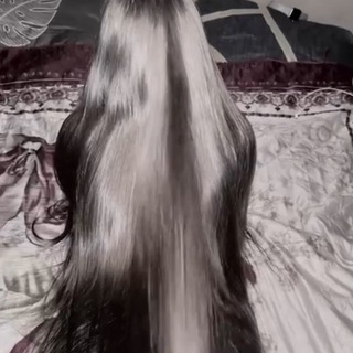Шабанка❤️