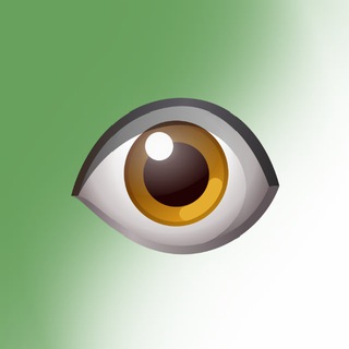 Polit.World