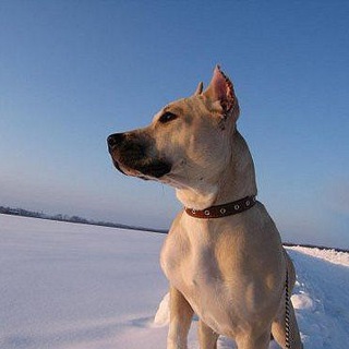 poteryashki_krd