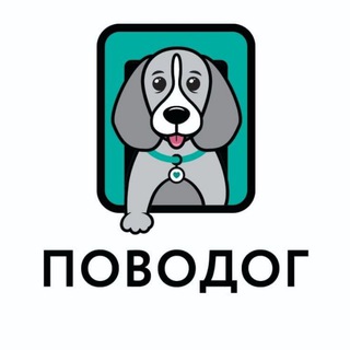 Поводог