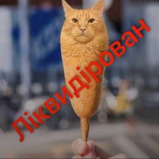сочные 🏳️‍⚧️ фембои