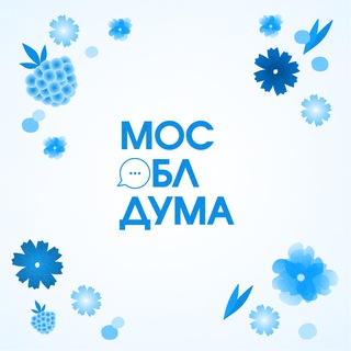 Мособлдума чат 💬