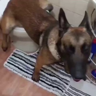 Прикольны клуп