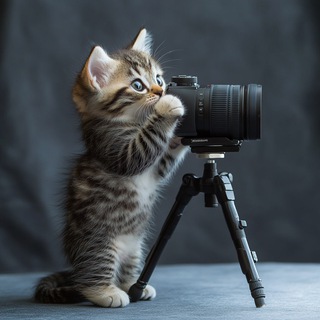 proadvertphoto