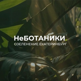 Проект-G