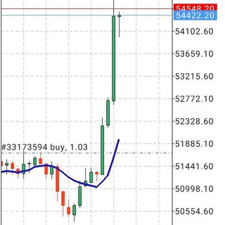 PROFESSIONAL TRADERS