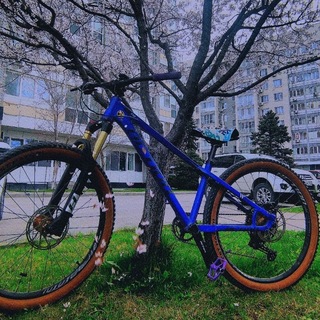 Rider