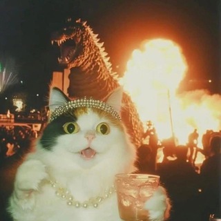 Лера, уже не которая Неделина