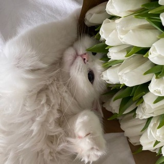 Оформление | Pinterest | Эстетика 🤍