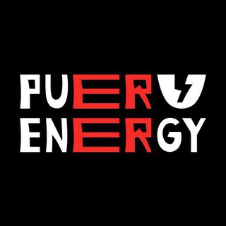 PuerEnergy Chat