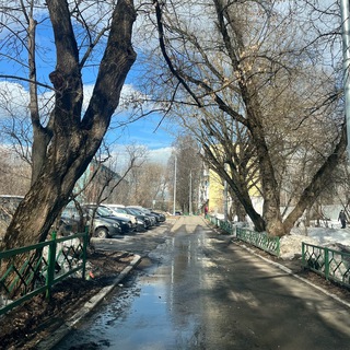 ПУРШЕВО