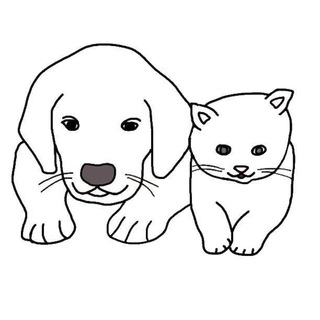 Хочу домой 🐕🐈 (Путилково)