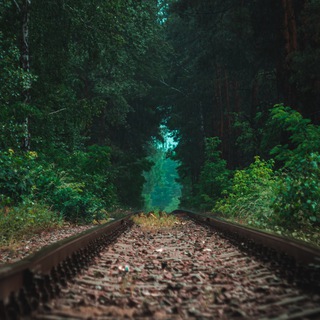 чат фоток