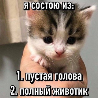 Dasha lives