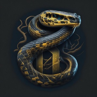 Задачи и викторины по Python