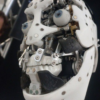 Quirky Robots