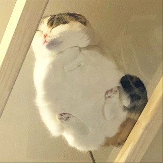 рурур