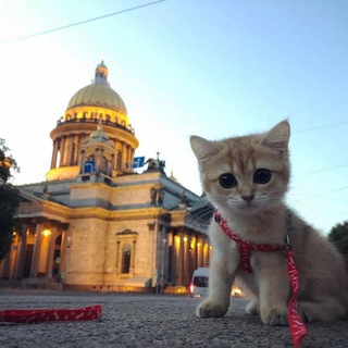 Rabotnik.ru | Работа в Санкт-Петербурге