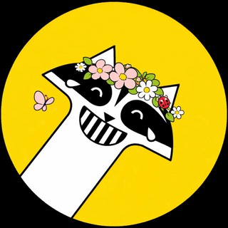 Raccoon_mem