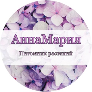 Рассада Цветов Анна и Мария