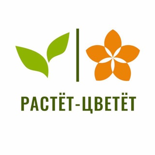 Растет Цветет | Доставка цветов | Липецк