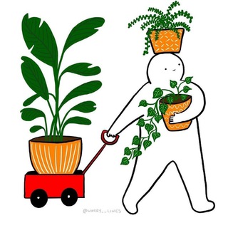Master_Plant