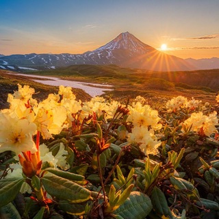 Kamphototour