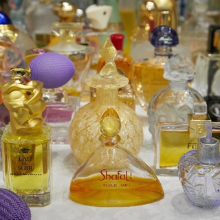 Realm of perfume