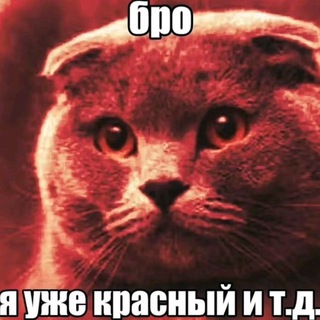 КРАСНЫЙ ДАРК