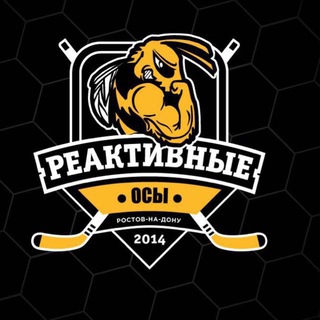 ХК Реактивные Осы 🐝🏒(Ростов-на-Дону)