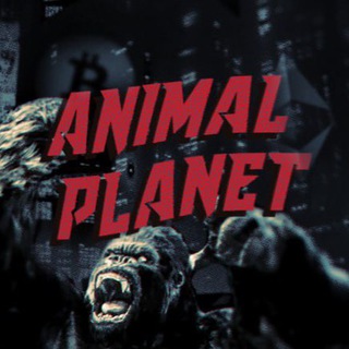 Animal Planet