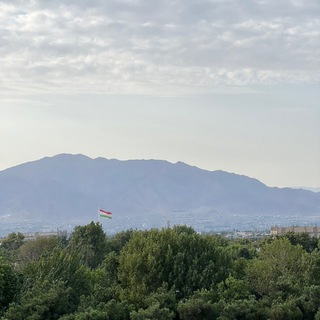🇹🇯