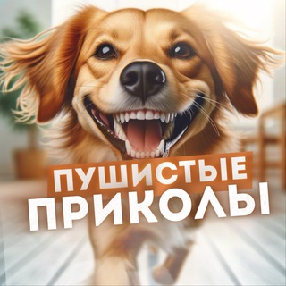 Пушистые Приколы