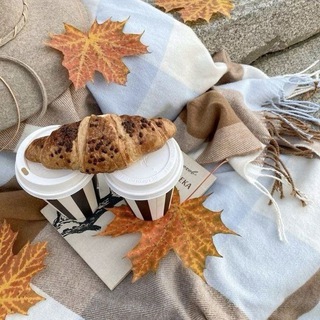 🤎|Autumn & self-development