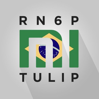RN6P BR
