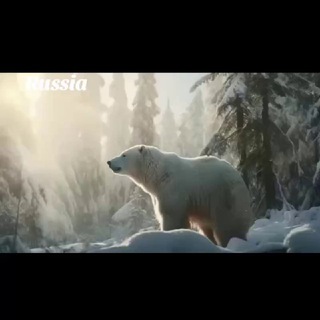 Россия без границ, Взгляд в будущее