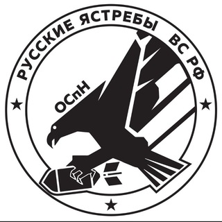 ОСпН РУССКИЕ ЯСТРЕБЫ ВС РФ