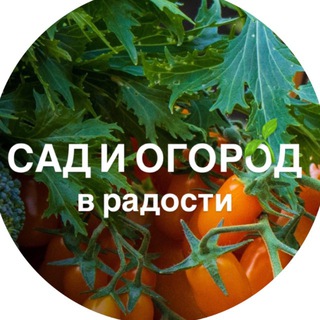 Школа органического земледелия | Сад и огород в радости