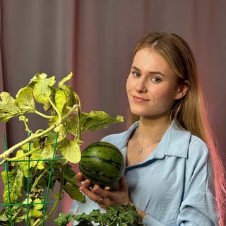 🌱Садовод Даша (огород в квартире)