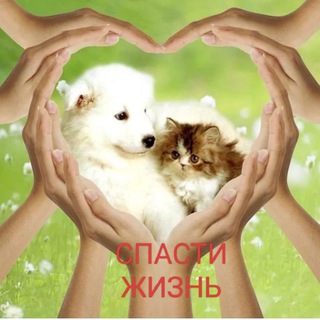 Спасти жизнь | Ульяновск