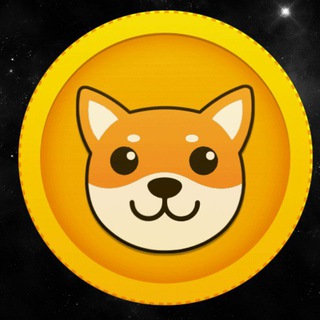 SafeDoge Global 🌎