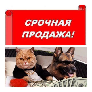 Продажа животных SALE OF ANIMALS hayvan satışı Продажа покупка