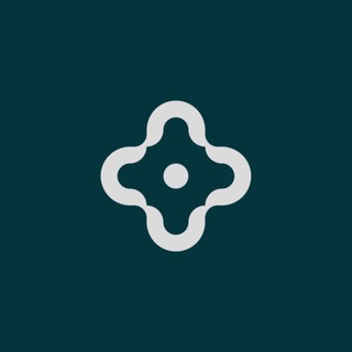 Salini Partners