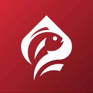 Check-Check Club | Саратов | Покер НЕ на деньги
