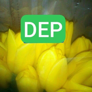 @sasanew депозиты