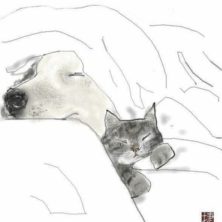 bbl.sh —