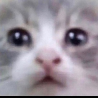 sateweedwowaaha