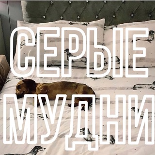 СЕРЫЕ | MUDNI