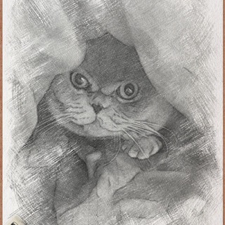 Серый kotъ