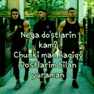 SeVgI ShaxaRchasi